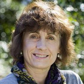Professor Lesley Hughes